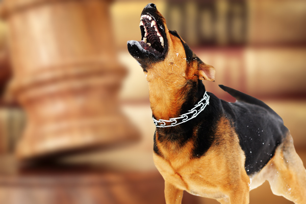 Dog Bite Laws How They Affect You Philadelphia Dog Bite