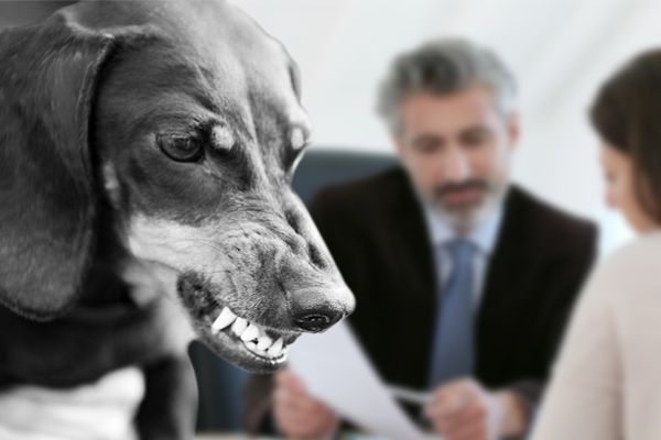 milwaukee dog bite lawyers