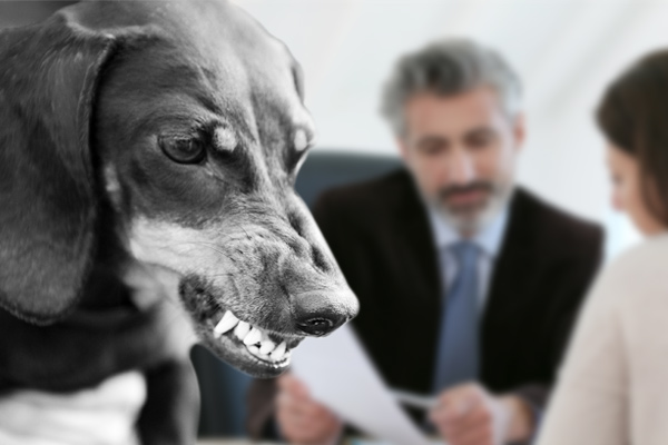 Dog Bite Lawyer Fresno